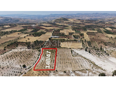 3BAY OKTAY SAĞLAMCI'DAN BURÇ ESENTEPE'DE YOL ÜSTÜ ARAZİ